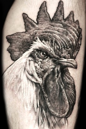 tattoo hahn cock.jpg
