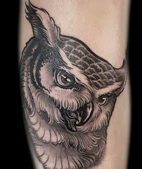 new traditional tattoo owl eule.png